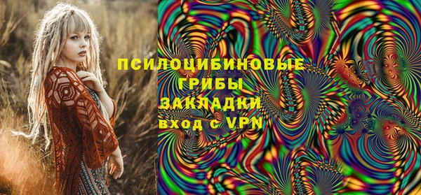 гидра Медногорск