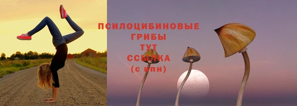 гидра Медногорск