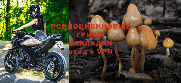 spice Магадан