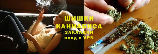 гидра Медногорск