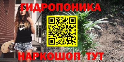 дурь Волжский