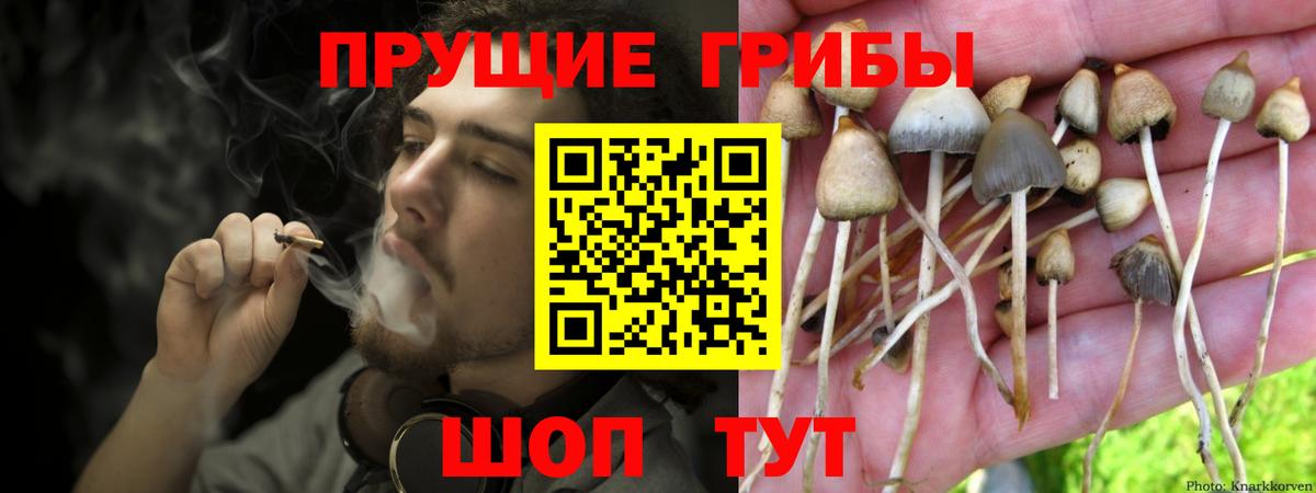 Галлюциногенные грибы мухоморы  Галлюциногенные грибы Magic Shrooms  Отрадное  Вход с VPN 